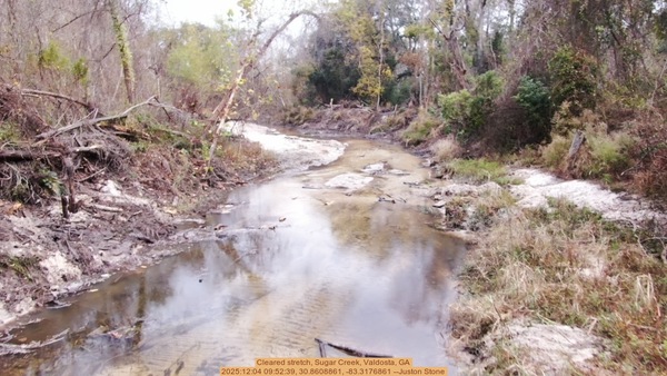 Cleared stretch, Sugar Creek, Valdosta, GA, 2025:12:04 09:52:39, 30.8608861, -83.3176861 --Juston Stone