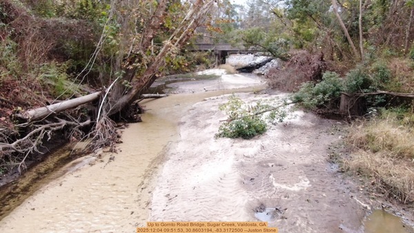 [Up to Gornto Road Bridge, Sugar Creek, Valdosta, GA, 2025:12:04 09:51:53, 30.8603194, -83.3172500 --Juston Stone]