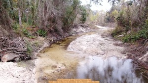 [Below the pool, Sugar Creek, Valdosta, GA, 2025:12:04 09:52:23, 30.8605806, -83.3175000 --Juston Stone]