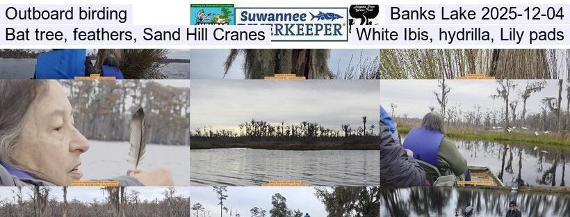 Outboard birding, Banks Lake 2025-12-04, Bat tree, feathers, Sand Hill Cranes, White Ibis, hydrilla, Lily pads