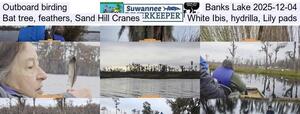 [Outboard birding, Banks Lake 2025-12-04, Bat tree, feathers, Sand Hill Cranes, White Ibis, hydrilla, Lily pads]