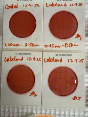 [Plates, Lakeland Boat Ramp 2025-12-04 --Kim Tanner for WWALS]