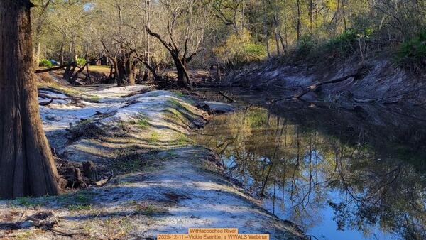 Withlacoochee River, 2025-12-11 --Vickie Everitte, a WWALS Webinar