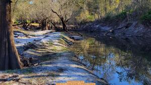 [Withlacoochee River, 2025-12-11 --Vickie Everitte, a WWALS Webinar]