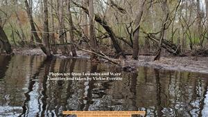 [Photos are from Lowndes and Ware Counties and taken by Vickie Everitte, 2025-12-11 --Vickie Everitte, a WWALS Webinar]