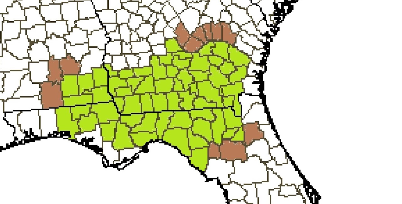 Map: Wiregrass Region --Wiregrass Digital History Project