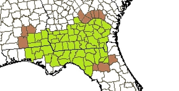 [Map: Wiregrass Region --Wiregrass Digital History Project]