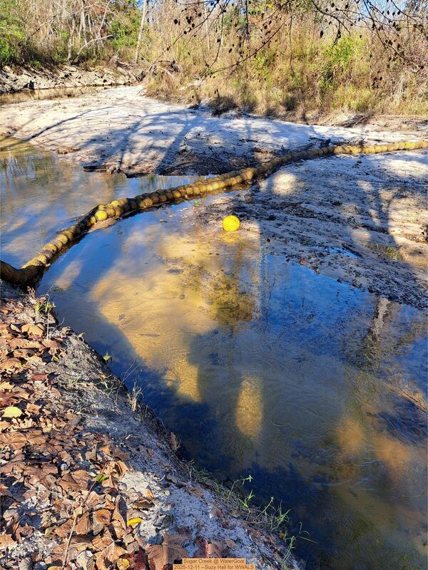 [Sugar Creek @ WaterGoat 2025-12-11 --Suzy Hall for WWALS]