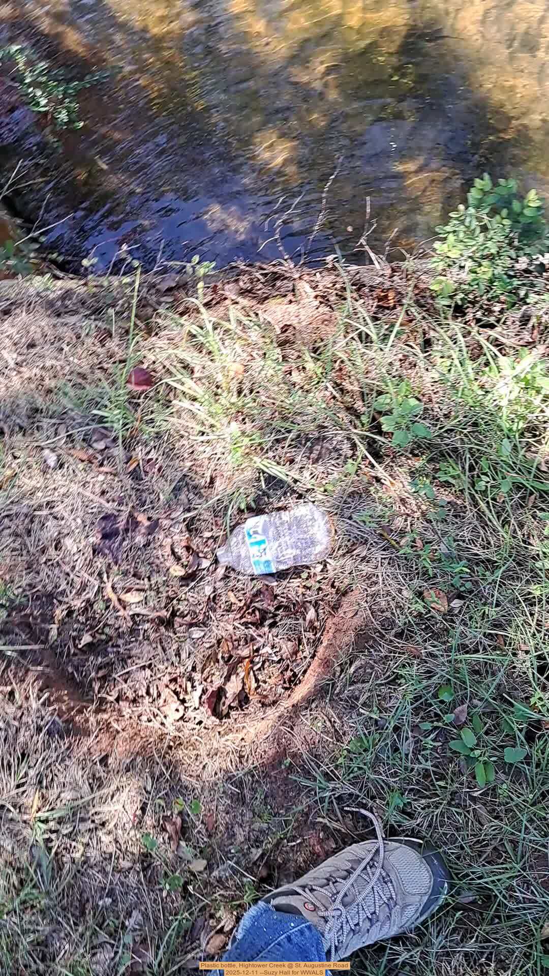Movie: Plastic bottle, Hightower Creek @ St. Augustine Road, 2025-12-11 --Suzy Hall for WWALS