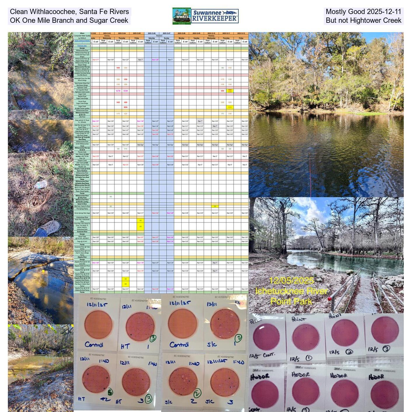 Clean Withlacoochee, Santa Fe Rivers, Mostly Good 2025-12-11, OK One Mile Branch and Sugar Creek, But not Hightower Creek