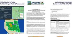 [Water First North Florida wetland locations: unknown, No Pilot Study or Wetland Assessments, But here is the RFQ --SRWMD]