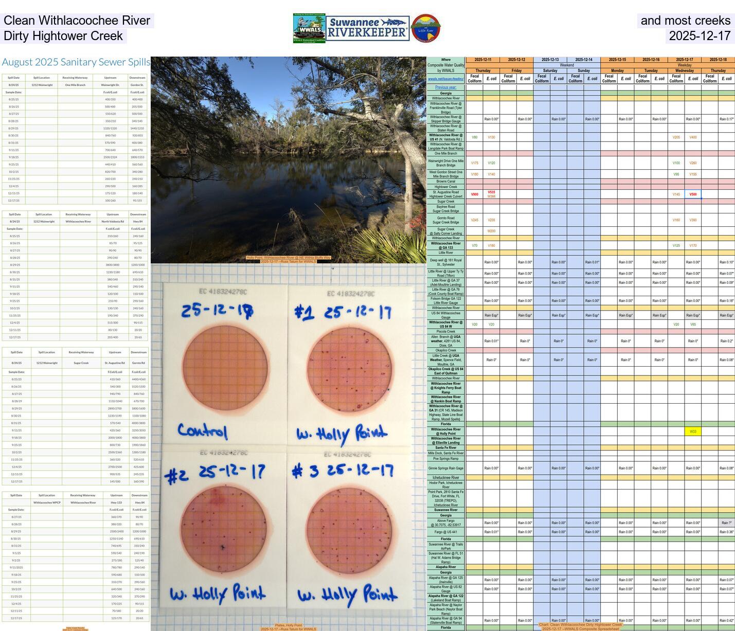 [Clean Withlacoochee River and most creeks; Dirty Hightower Creek, 2025-12-17]