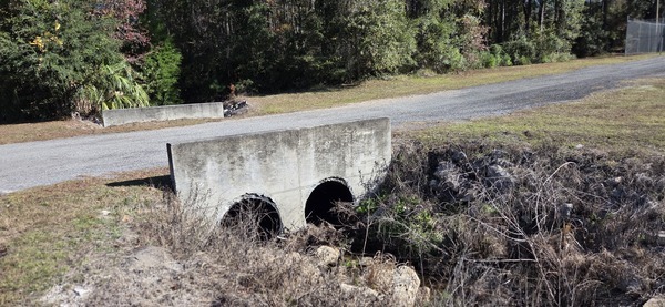 [Tributary of Clay Hole Creek across from Lake City WWTP, 2025:12:20 14:18:42, 30.1704387, -82.6461827 --jsq for WWALS]