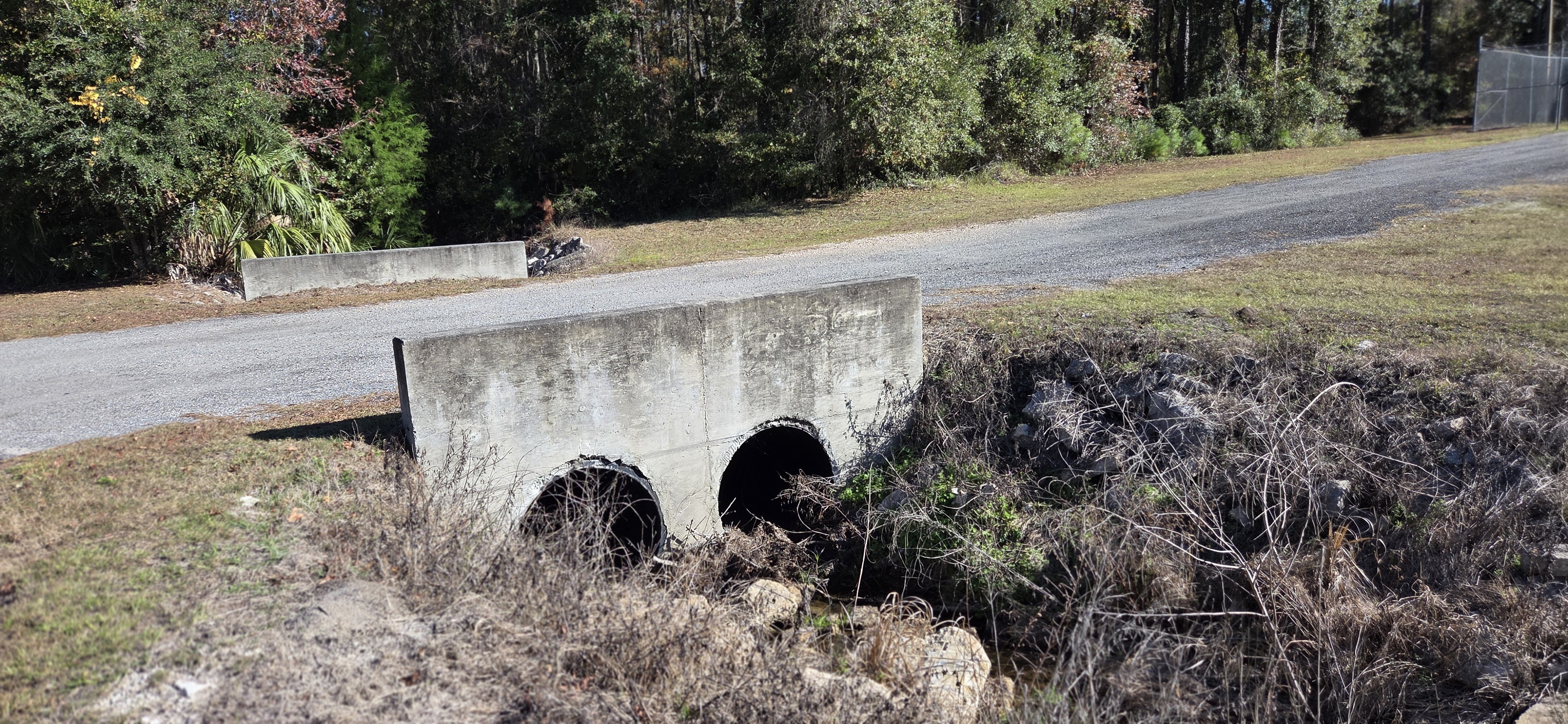 Tributary of Clay Hole Creek across from Lake City WWTP, 2025:12:20 14:18:42, 30.1704387, -82.6461827 --jsq for WWALS