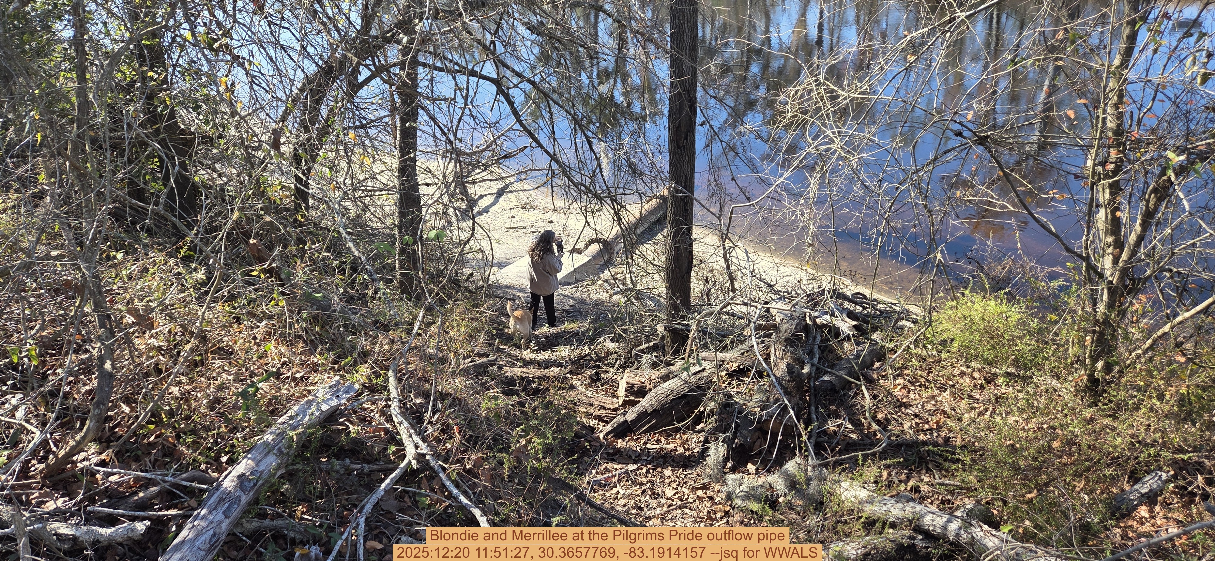 Blondie and Merrillee at the Pilgrims Pride outflow pipe, 2025:12:20 11:51:27, 30.3657769, -83.1914157 --jsq for WWALS