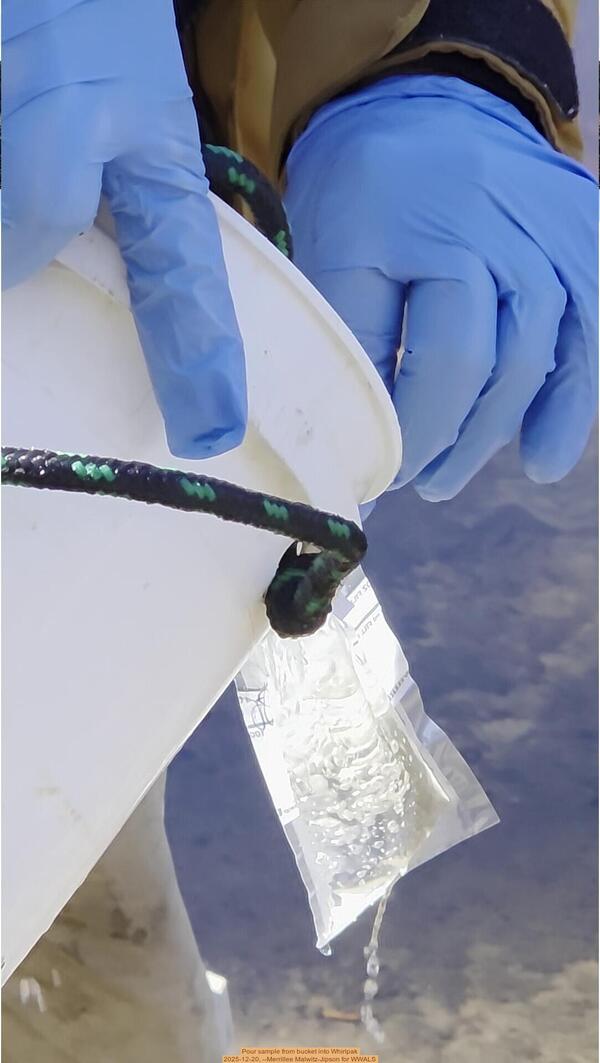 Pour sample from bucket into Whirlpak, 2025-12-20, --Merrillee Malwitz-Jipson for WWALS