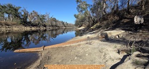 [Pilgrims Pride Outflow Pipe, upstream towards Suwannee River State Park, 2025:12:20 11:52:48, 30.3656622, -83.1914887 --jsq for WWALS]
