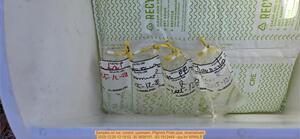 [Samples on ice: control, upstream, Pilgrims Pride pipe, downstream, 2025:12:20 12:18:02, 30.3658151, -83.1912449 --jsq for WWALS]