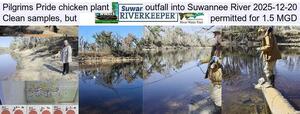 [Pilgrims Pride chicken plant outfall into Suwannee River 2025-12-20, Clean samples, but permitted for 1.5 MGD]
