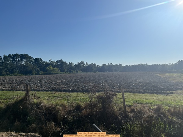 Paul King Road, looking east, 2025:09:04 09:05:13, 31.2688194, -83.2457500 --GA-EPD