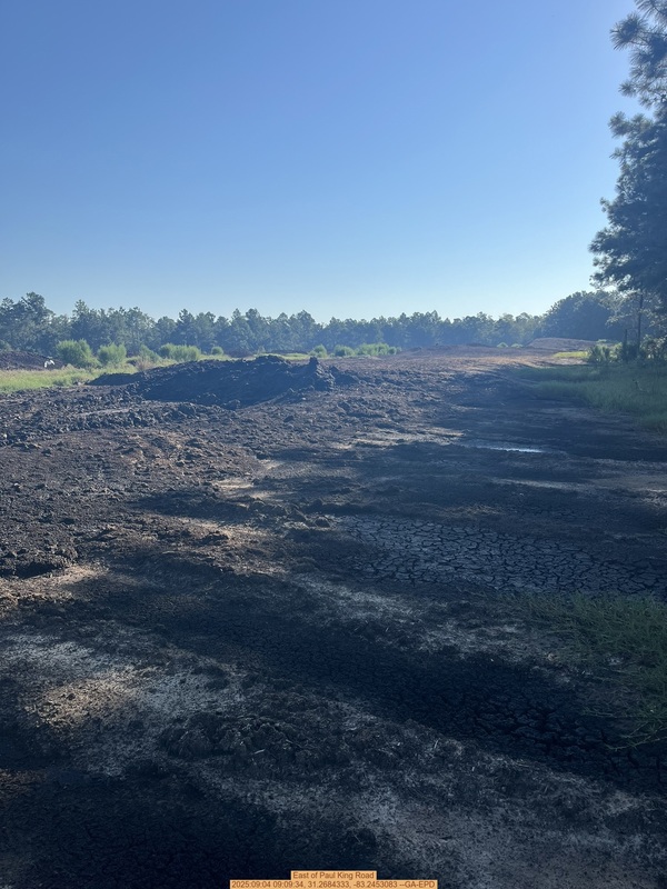 East of Paul King Road, 2025:09:04 09:09:34, 31.2684333, -83.2453083 --GA-EPD