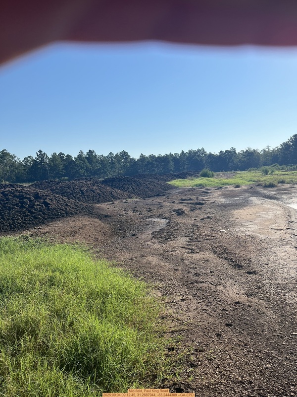 Mid-field, Paul King Road, 2025:09:04 09:12:45, 31.2687944, -83.2444389 --GA-EPD