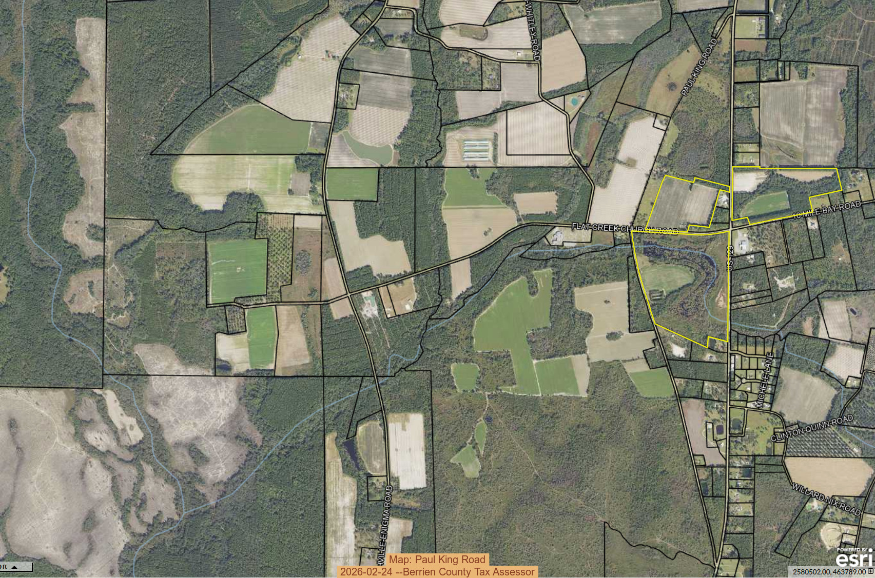 Map: Paul King Road, 2026-02-24 --Berrien County Tax Assessor