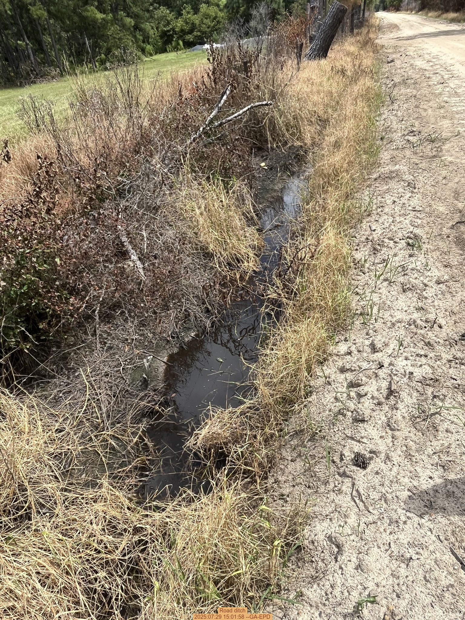 Road ditch, 2025:07:29 15:01:58 --GA-EPD