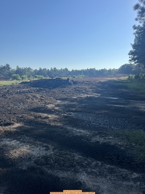 [East of Paul King Road, 2025:09:04 09:09:34, 31.2684333, -83.2453083 --GA-EPD]