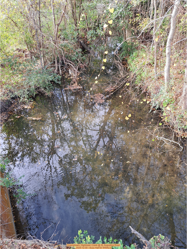 [Downstream, Hightower Creek @ St. Augustine Road, 2025-12-30 --Suzy Hall for WWALS]