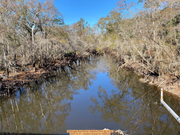 [Sheboggy Boat Ramp, Alapaha River @ US 82 2025-12-31 --Heather Brasell for WWALS]