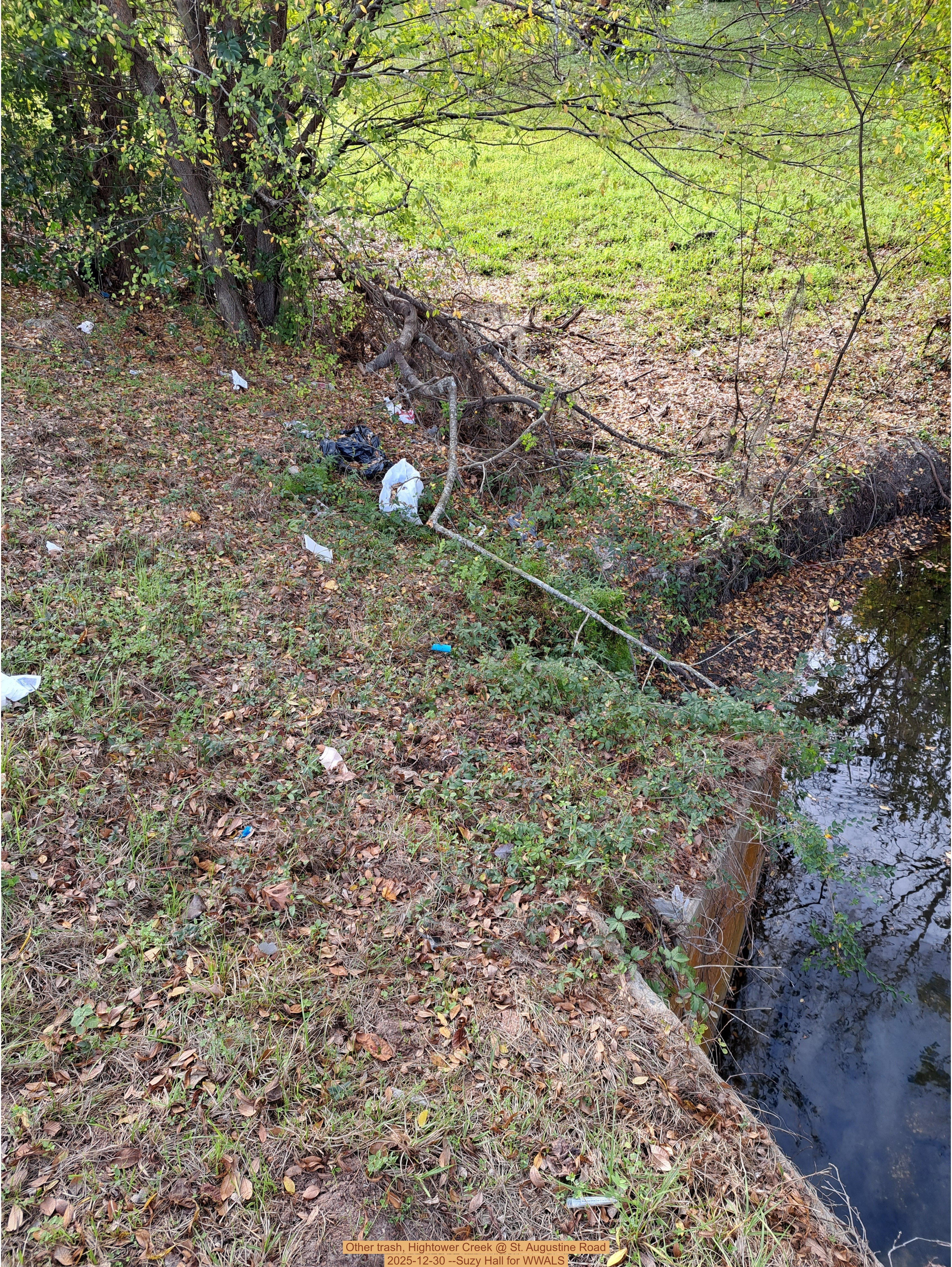 Other trash, Hightower Creek @ St. Augustine Road, 2025-12-30 --Suzy Hall for WWALS
