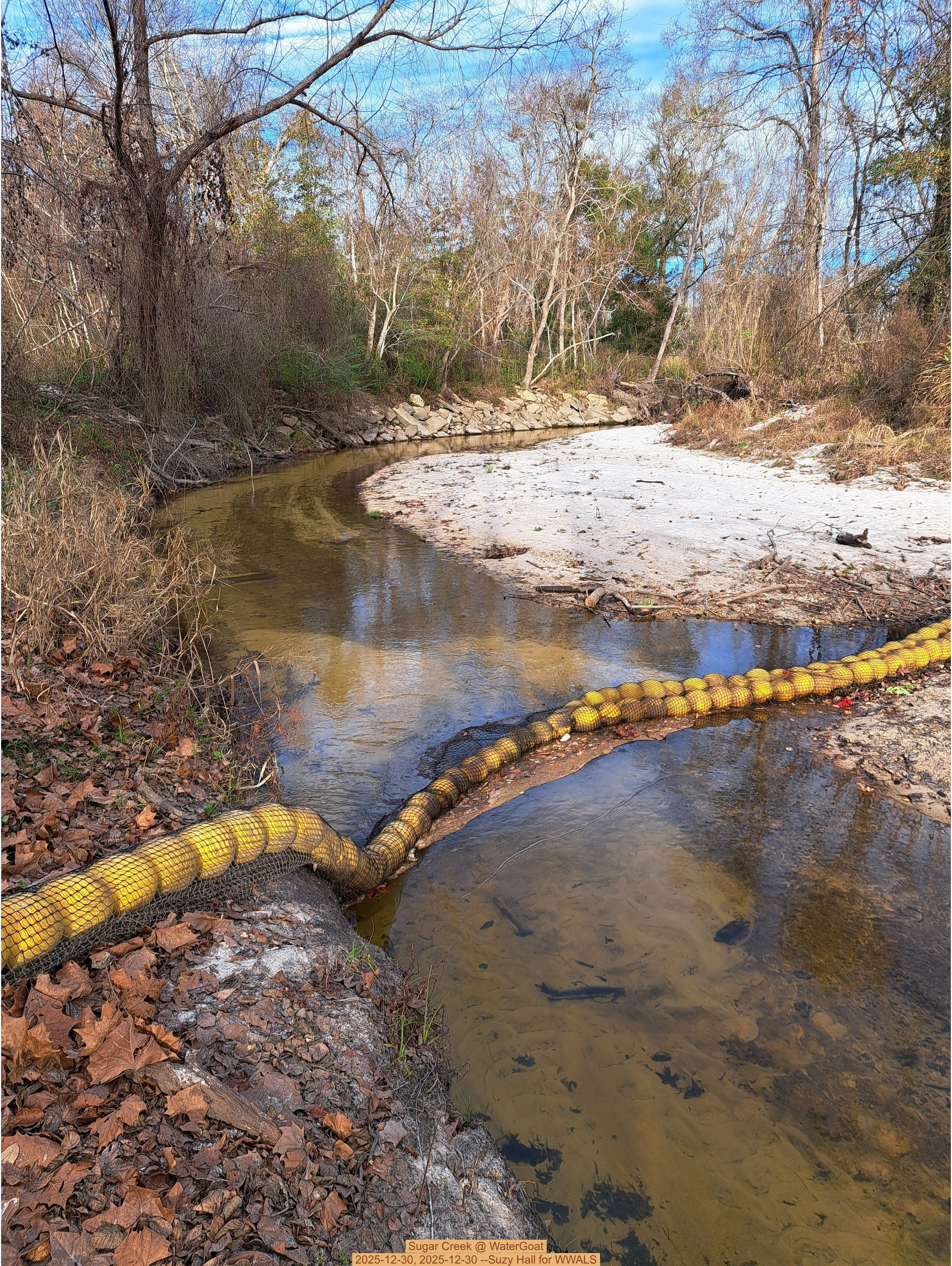 Sugar Creek @ WaterGoat 2025-12-30, 2025-12-30 --Suzy Hall for WWALS