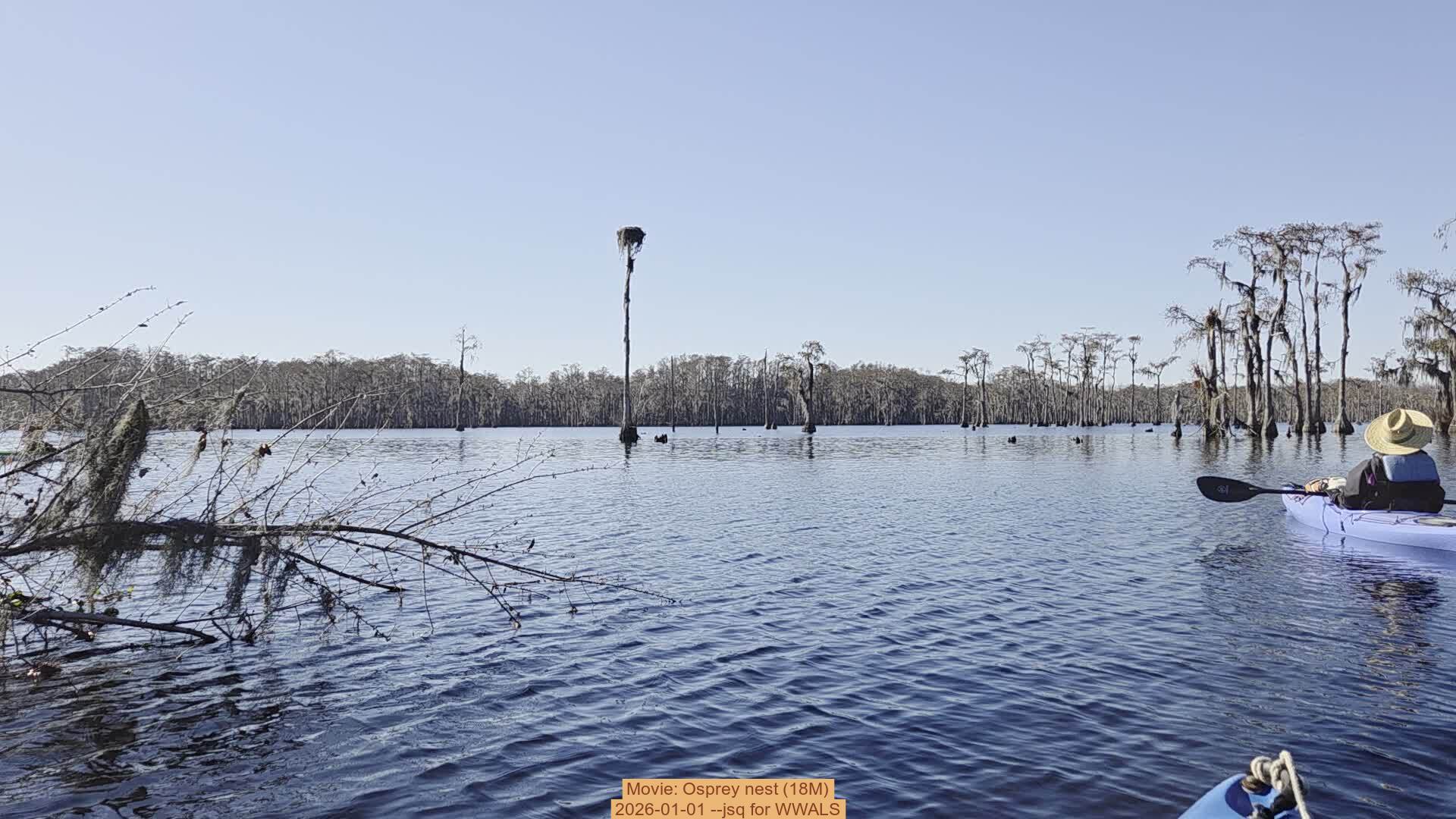Movie: Osprey nest (18M), 2026-01-01 --jsq for WWALS