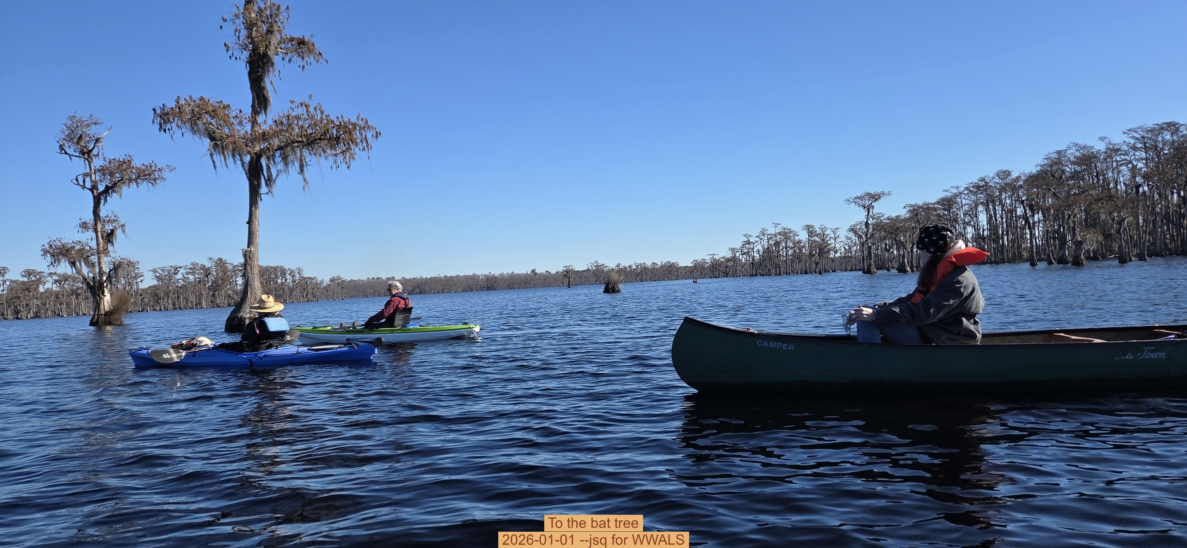 To the bat tree, 2026-01-01 --jsq for WWALS