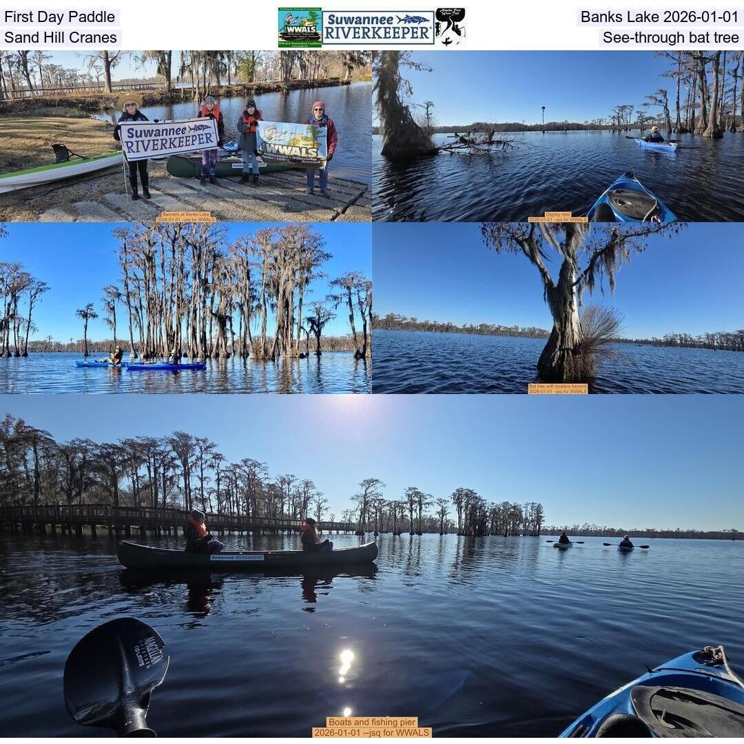 First Day Paddle, Banks Lake 2026-01-01, Sand Hill Cranes, See-through bat tree