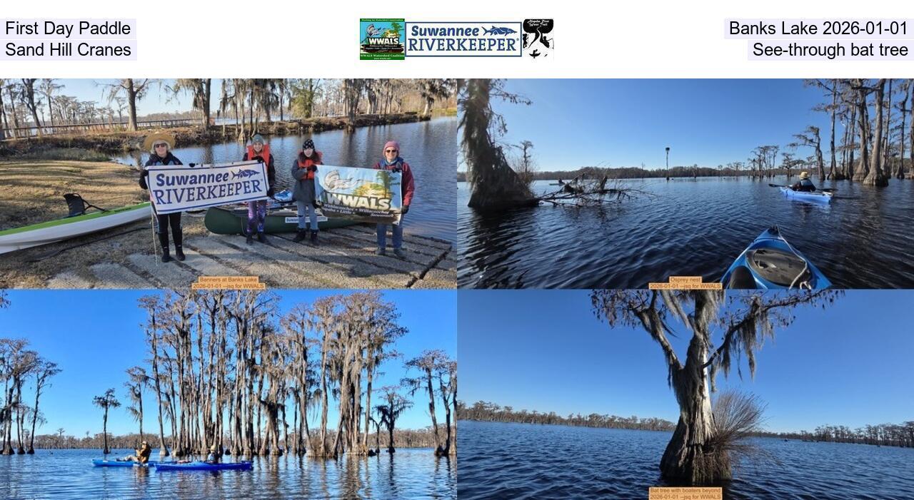 First Day Paddle, Banks Lake 2026-01-01, Sand Hill Cranes, See-through bat tree
