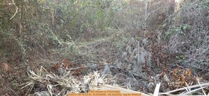 [Path cleared on Force Main, 2026:01:09 16:52:00, 30.8306080, -83.3222252 --jsq for WWALS]