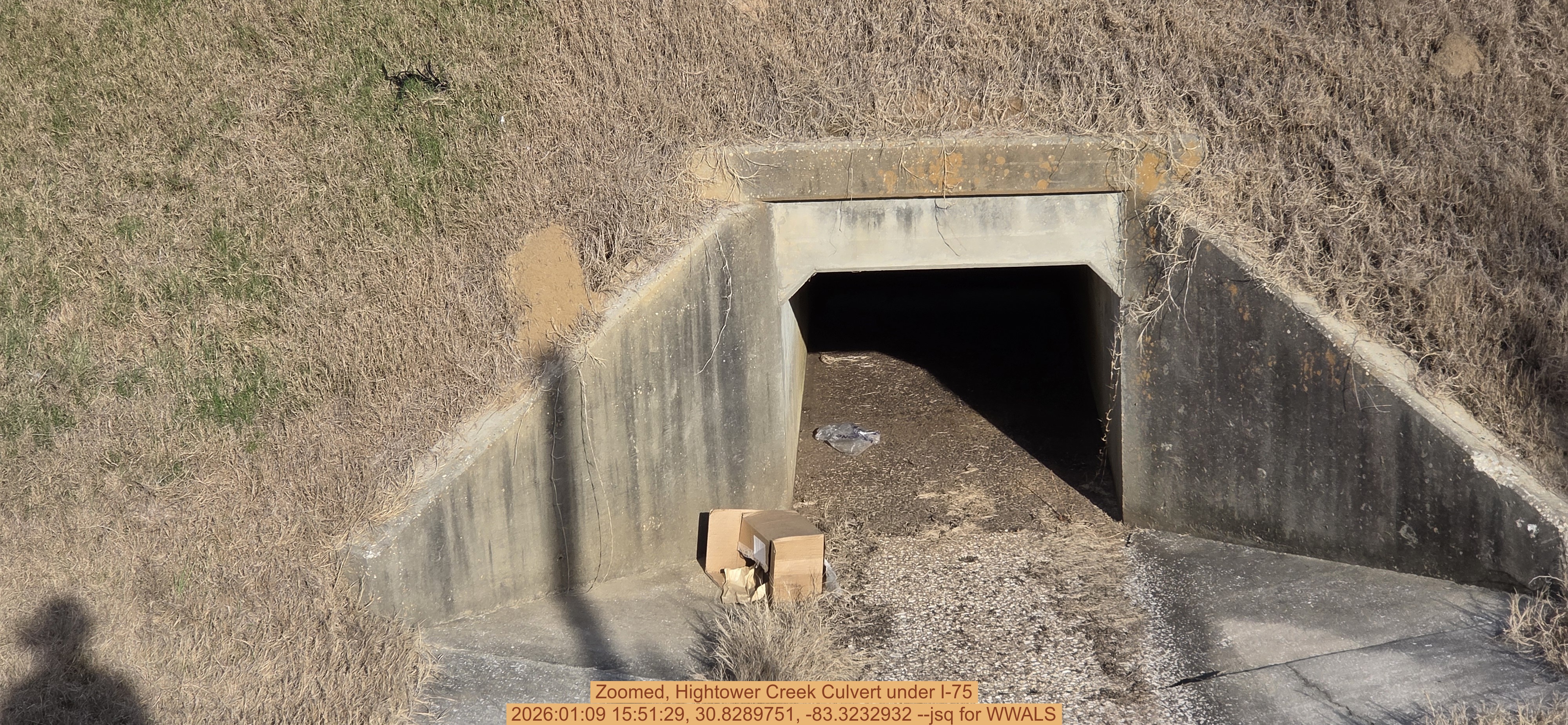 Zoomed, Hightower Creek Culvert under I-75, 2026:01:09 15:51:29, 30.8289751, -83.3232932 --jsq for WWALS
