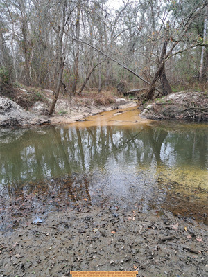 [Two Mile Branch, Sugar Creek @ WaterGoat 2026-01-08, 2026:01:08 10:42:48 --Suzy Hall for WWALS]