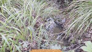 [Movie: Stagnant water, Hightower Creek exit I-75 culvert, 2026:01:09 16:54:58, 30.8302644, -83.3224017 --jsq for WWALS]