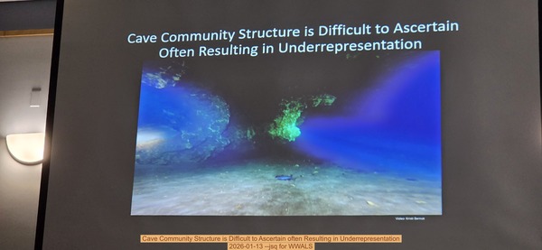 [Cave Community Structure is Difficult to Ascertain often Resulting in Underrepresentation, 2026-01-13 --jsq for WWALS]