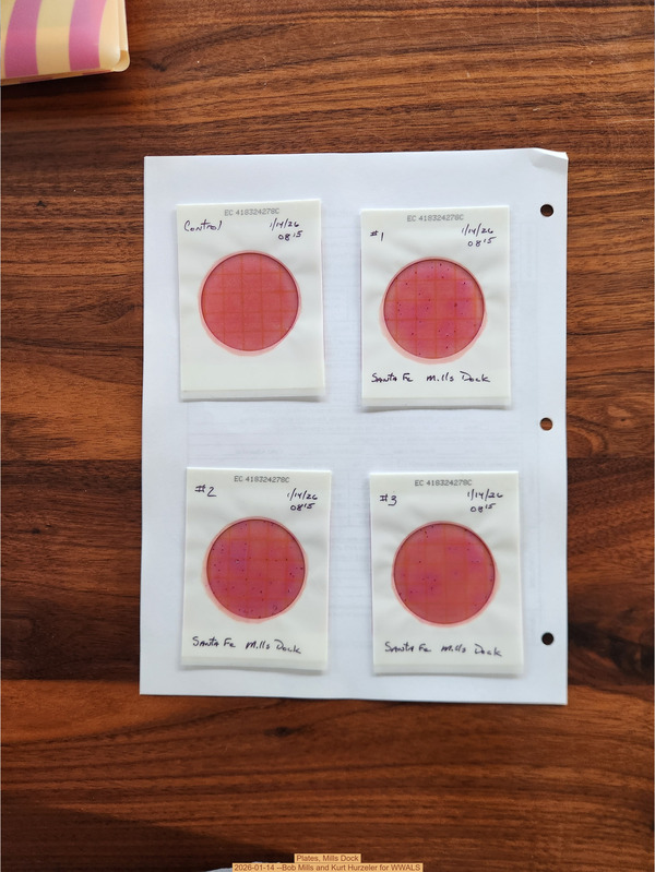 Plates, Mills Dock 2026-01-14 --Bob Mills and Kurt Hurzeler for WWALS