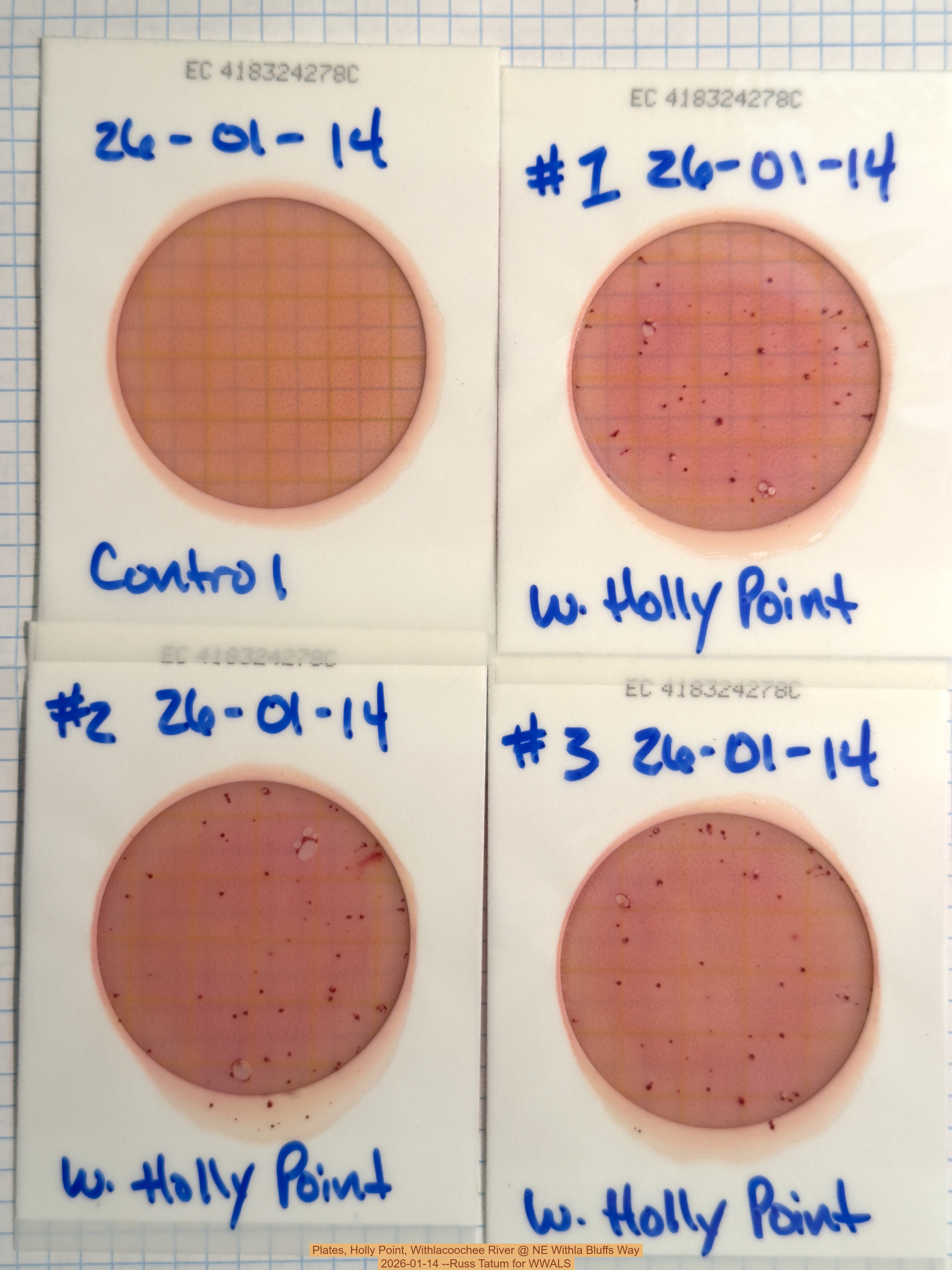 Plates, Holly Point, Withlacoochee River @ NE Withla Bluffs Way 2026-01-14 --Russ Tatum for WWALS