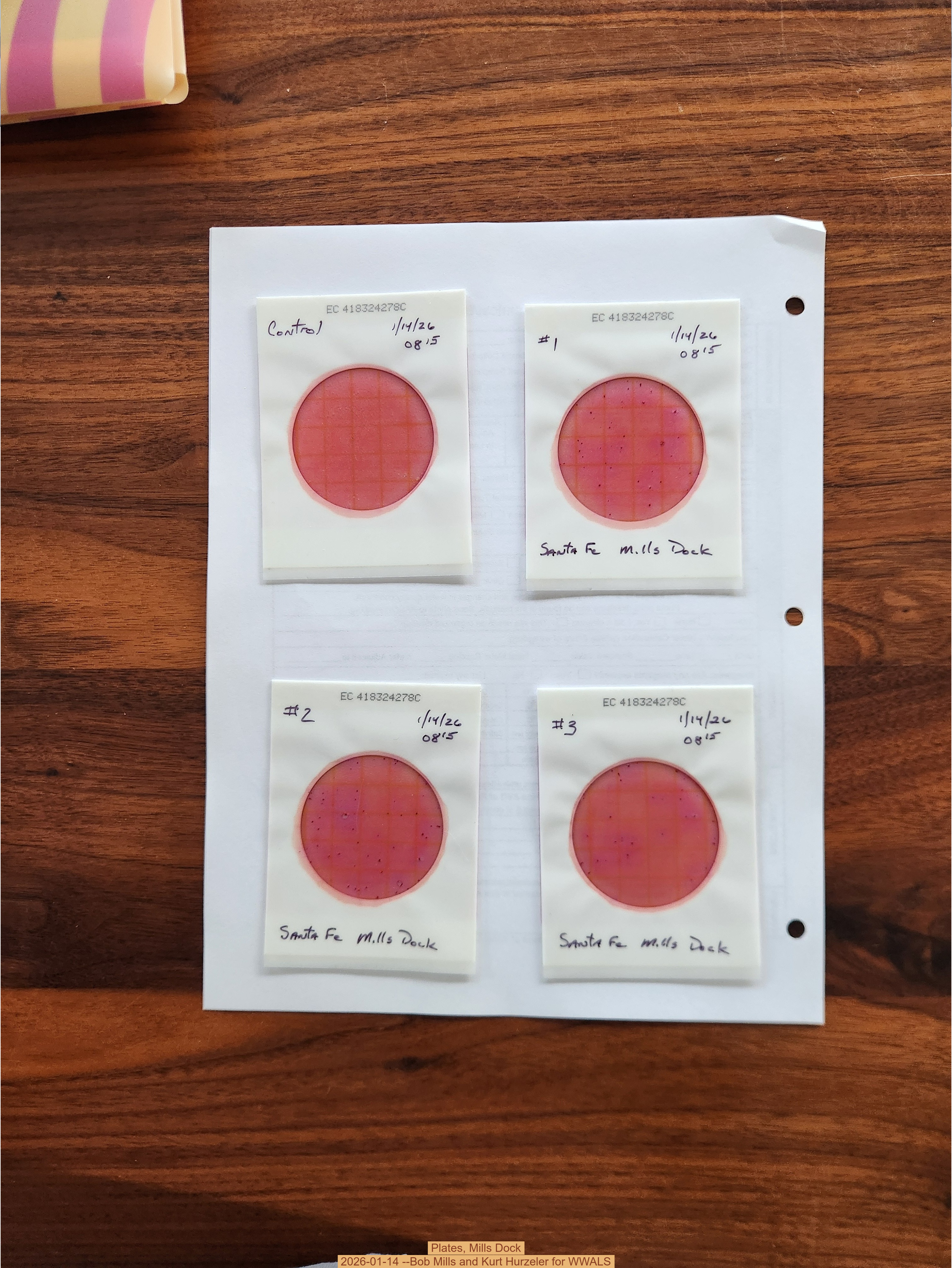 Plates, Mills Dock 2026-01-14 --Bob Mills and Kurt Hurzeler for WWALS