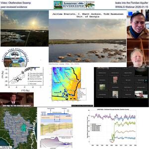 [Video: Okefenokee Swamp leaks into the Floridan Aquifer, peer-reviewed evidence, WWALS Webinar 2026-01-15]
