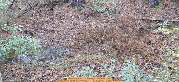 [Standing water, Foxborough Lift Station Run, 2026:01:18 15:41:24, 30.8888781, -83.3262773 --jsq for WWALS]