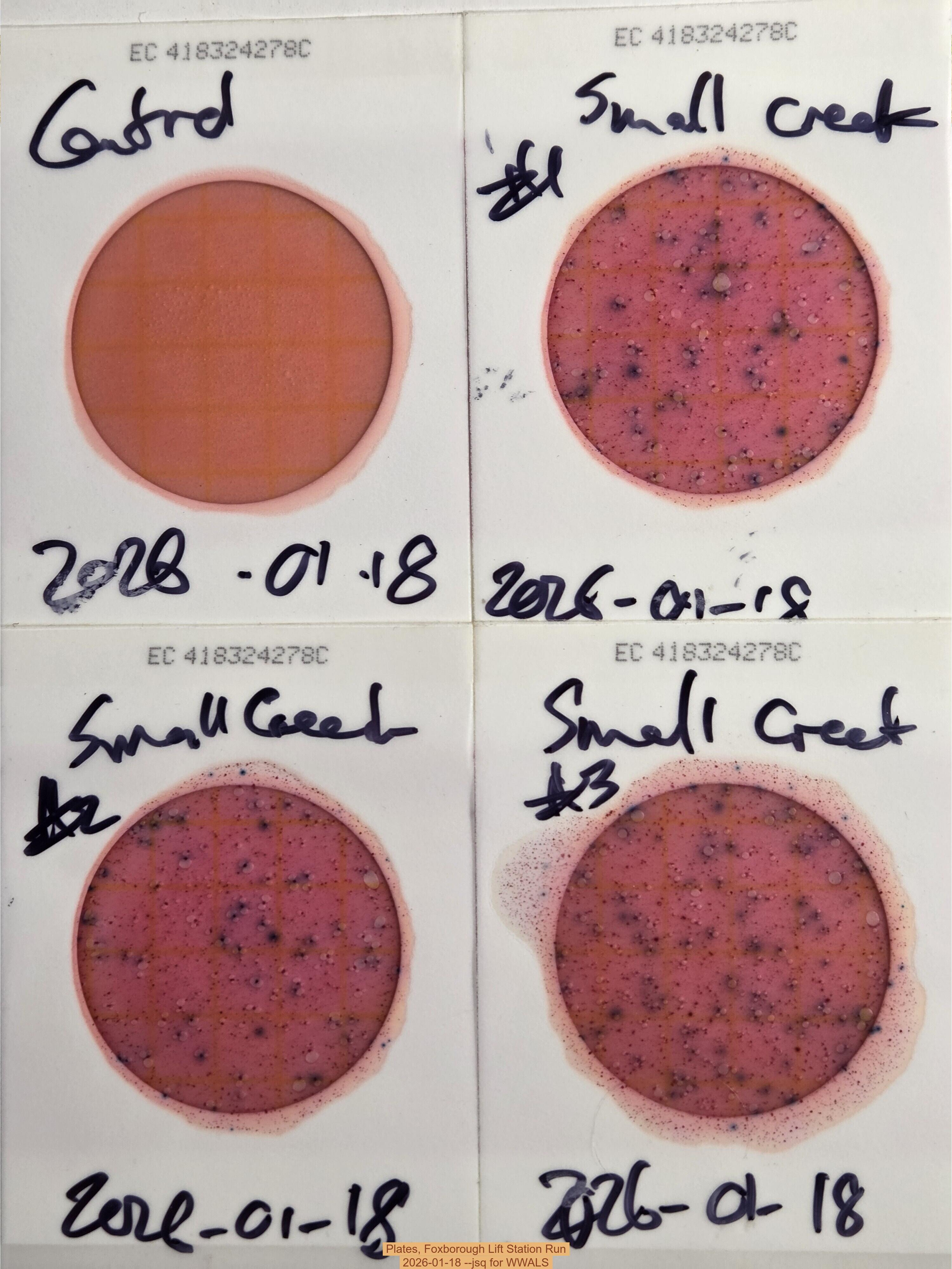 Plates, Foxborough Lift Station Run, 2026-01-18 --jsq for WWALS