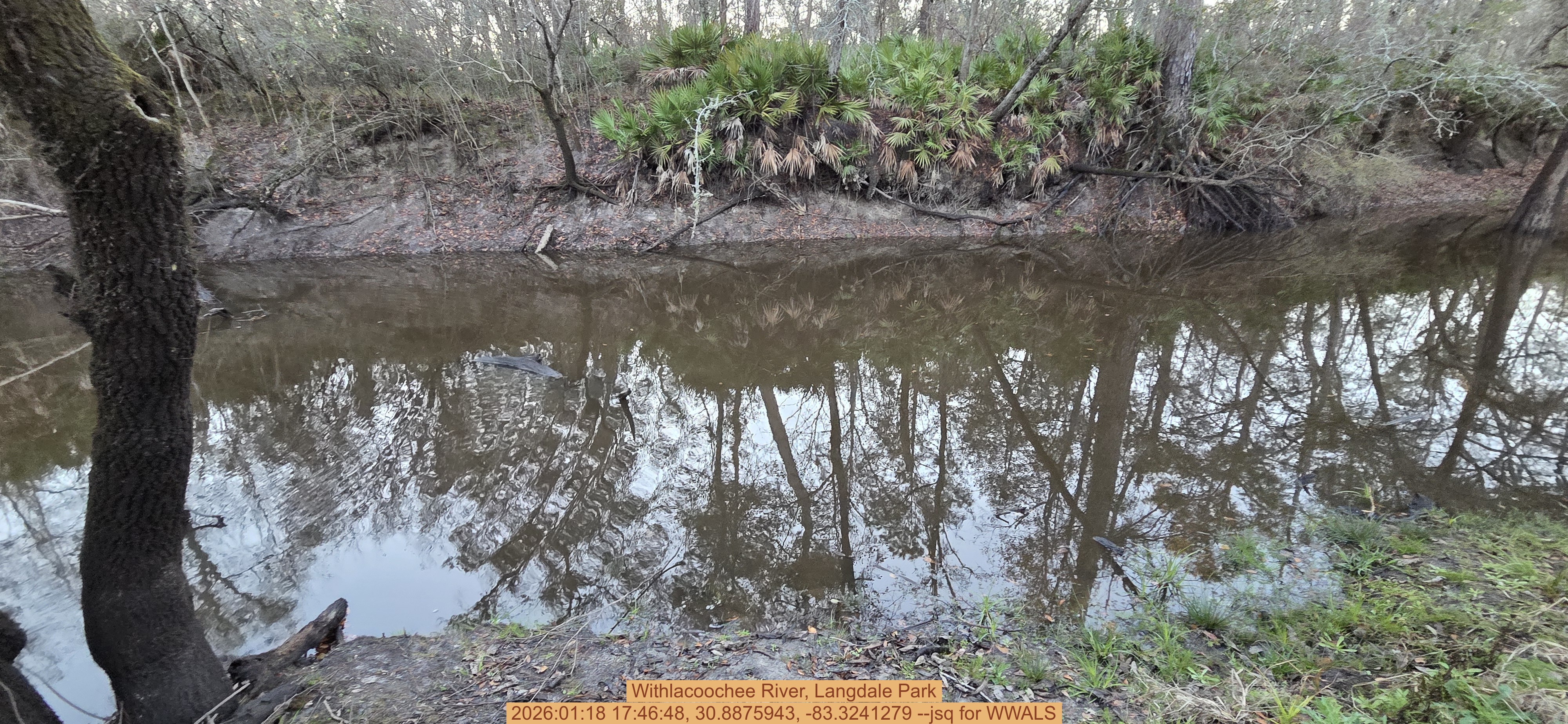 Withlacoochee River, Langdale Park, 2026:01:18 17:46:48, 30.8875943, -83.3241279 --jsq for WWALS