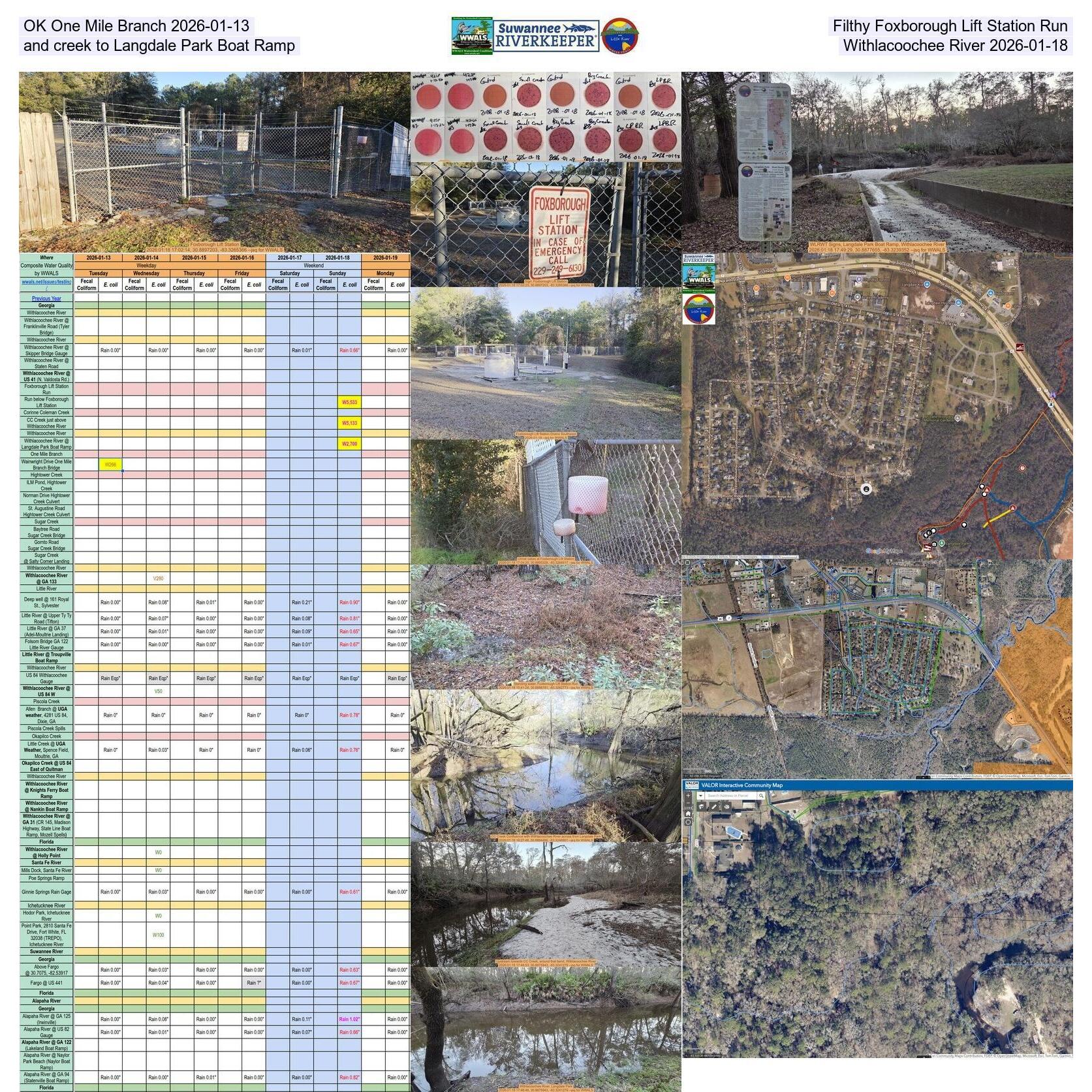OK One Mile Branch 2026-01-13, Filthy Foxborough Lift Station Run and creek to Langdale Park Boat Ramp, Withlacoochee River 2026-01-18